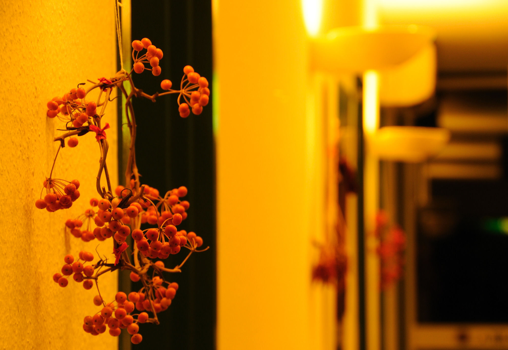 Petit Resort Hotel Alcyon Ito  Ngoại thất bức ảnh